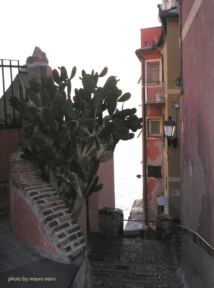 photo "lane in Boccadasse, Genoa" tags: street, 