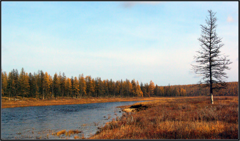 фото "Северная осень 3" метки: пейзаж, Сытыкан, Якутия, осень, река, тайга