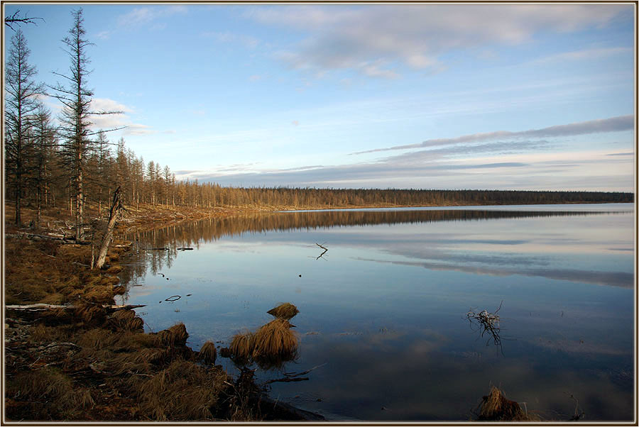 фото "Поздняя осень" метки: пейзаж, Якутия, озеро, осень, тайга