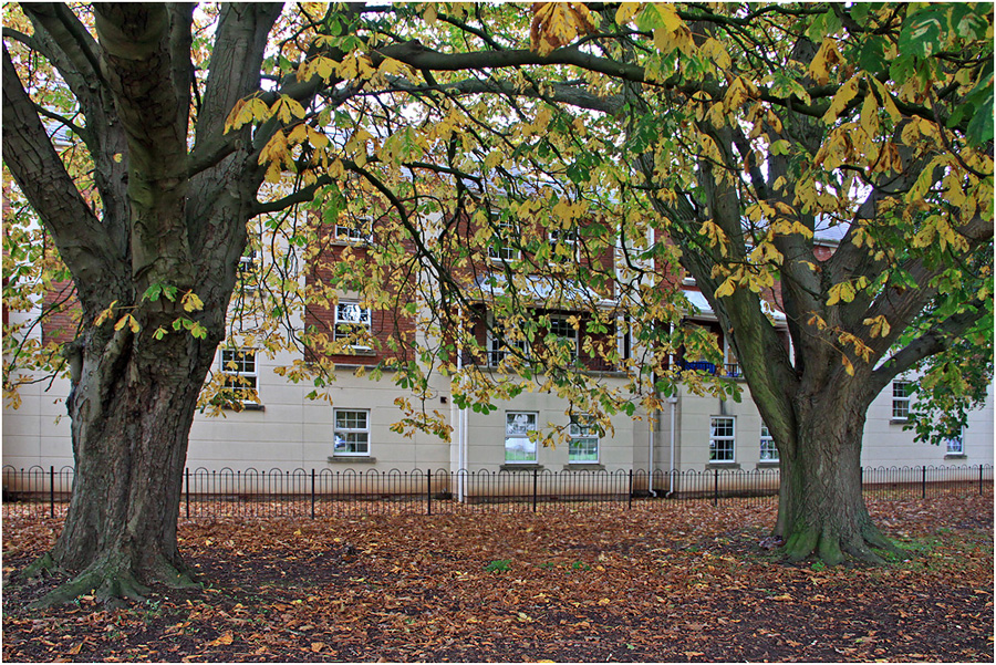 photo "***" tags: city, autumn