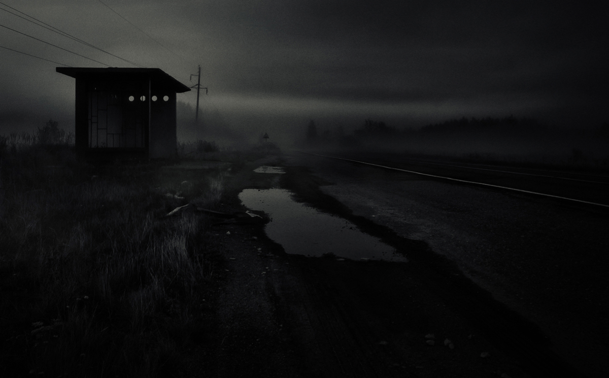 photo "The epilog" tags: black&white, genre, landscape, fog, morning, road, жизнь