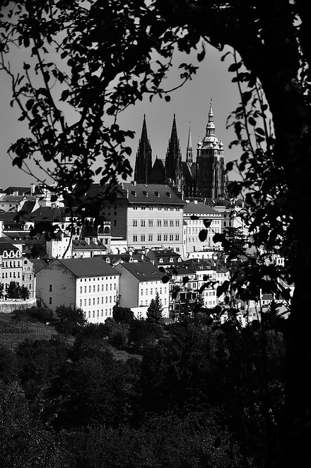 photo "Пражский град и дерево" tags: black&white, architecture, Prag, Prague, Praha