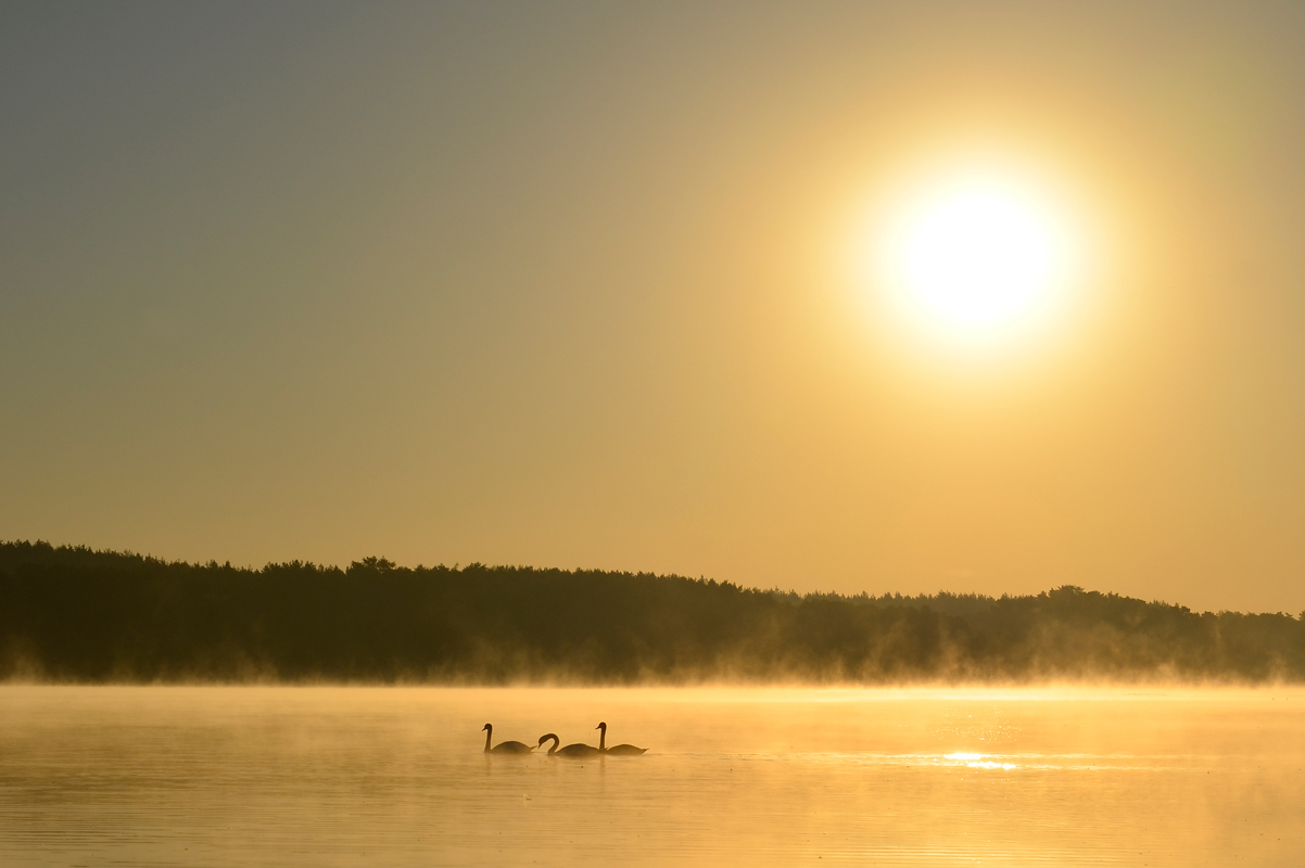 photo "***" tags: landscape, nature, 