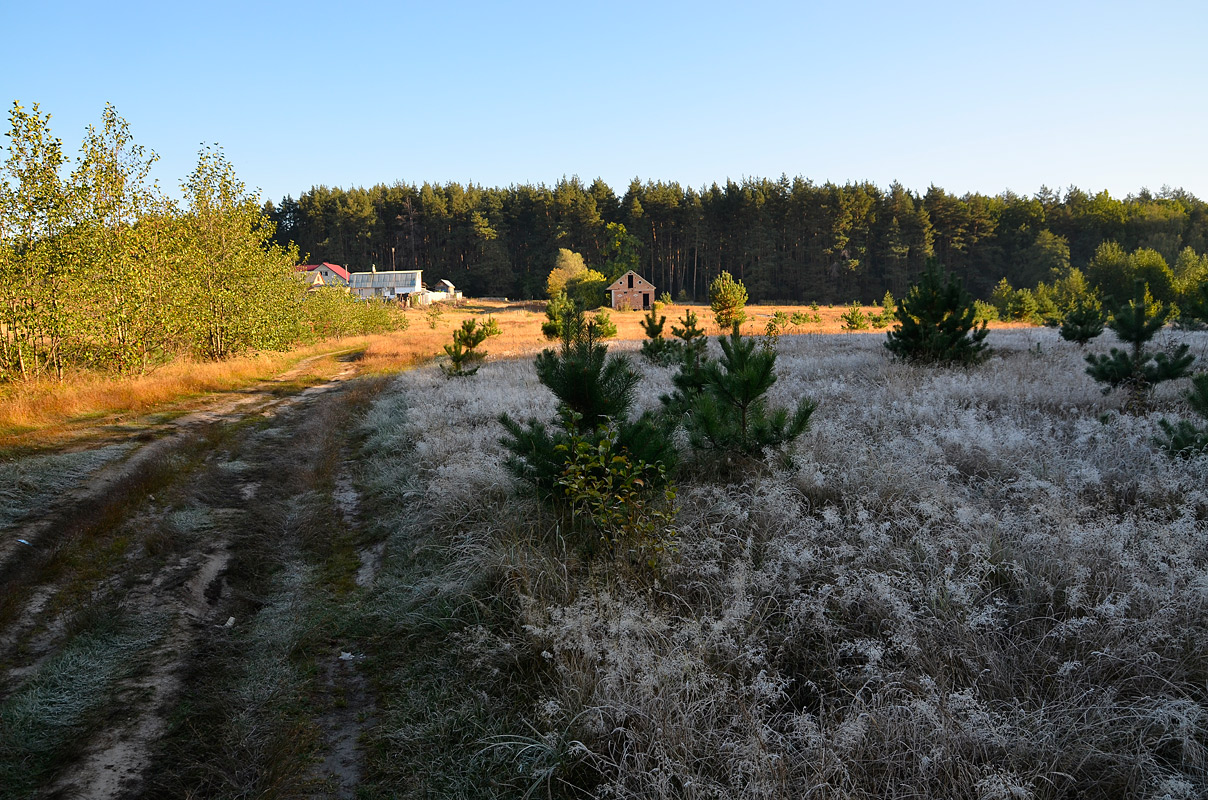 photo "***" tags: landscape, 