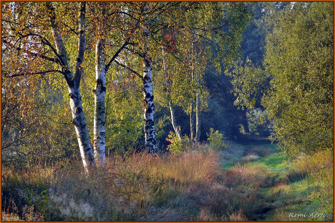photo "***" tags: landscape, nature, 