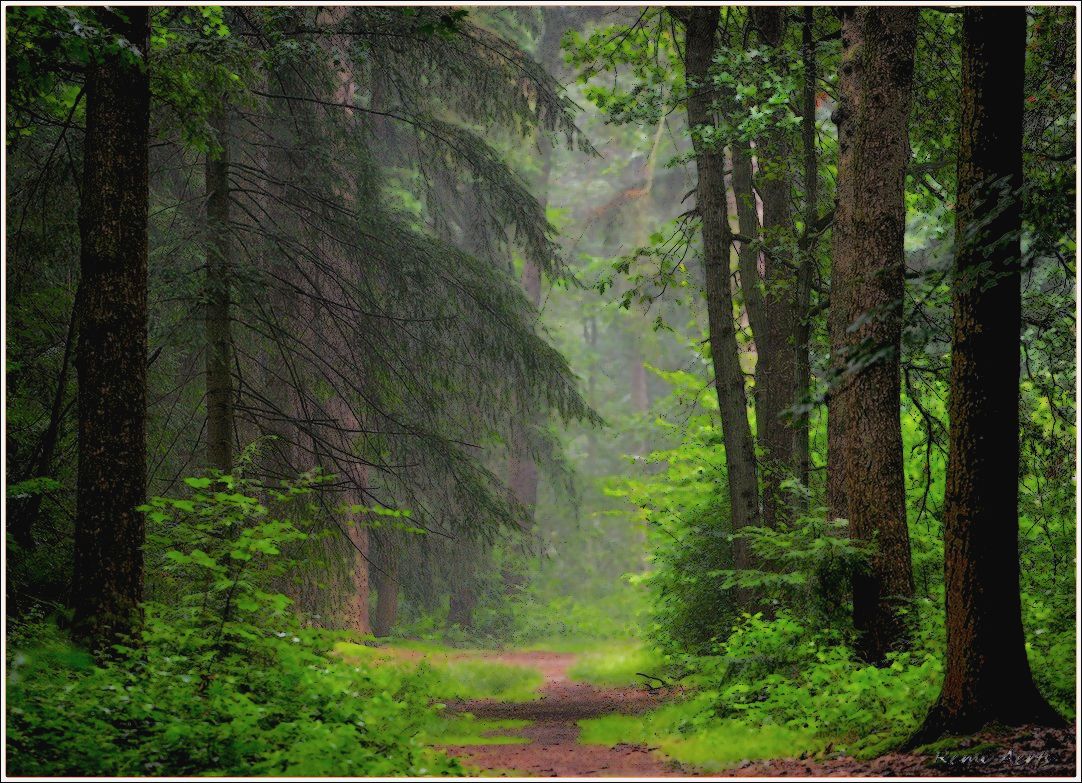 photo "***" tags: landscape, nature, 