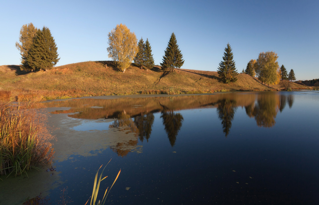 photo "***" tags: landscape, autumn, lake, pond, reflections, деревья, краски