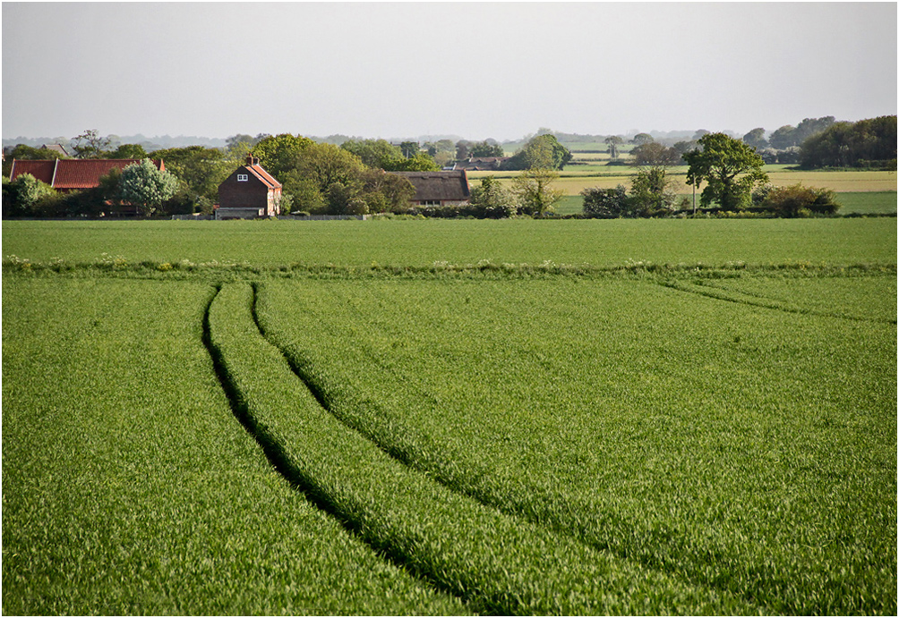 photo "***" tags: landscape, summer