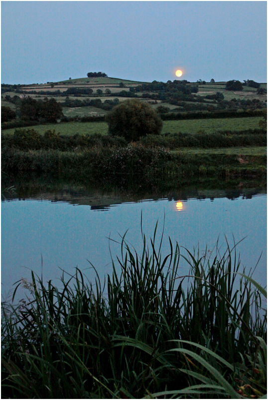 photo "***" tags: nature, evening