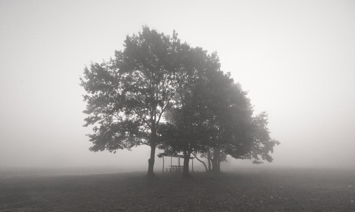 photo "***" tags: landscape, nature, fog, summer