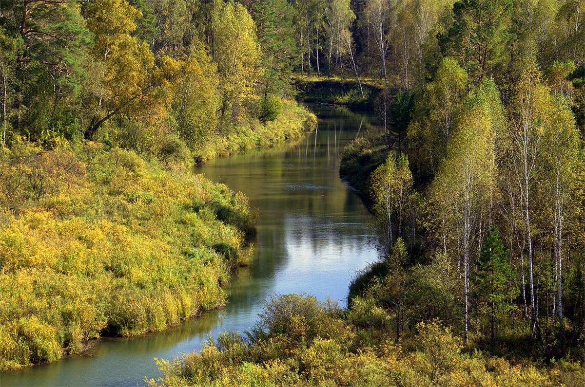 фото "..." метки: пейзаж, берег, лес, осень