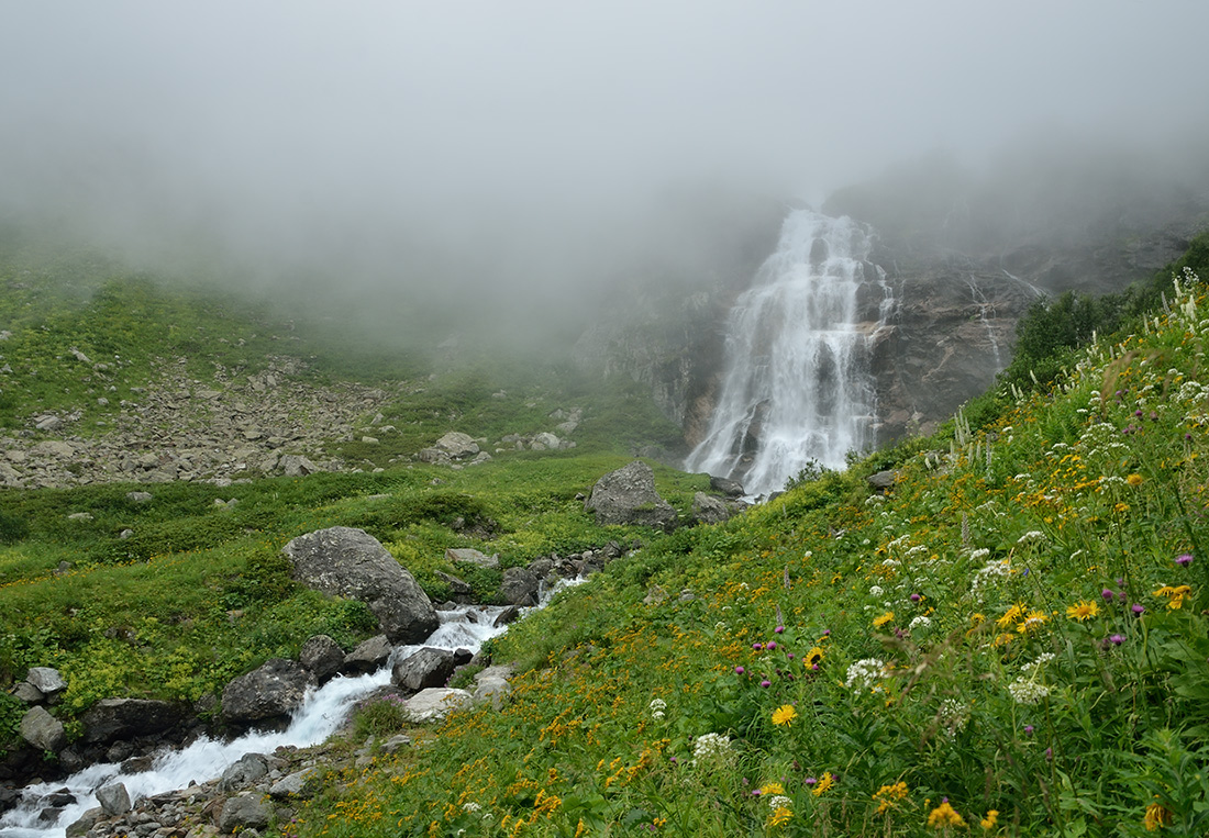photo "***" tags: , 