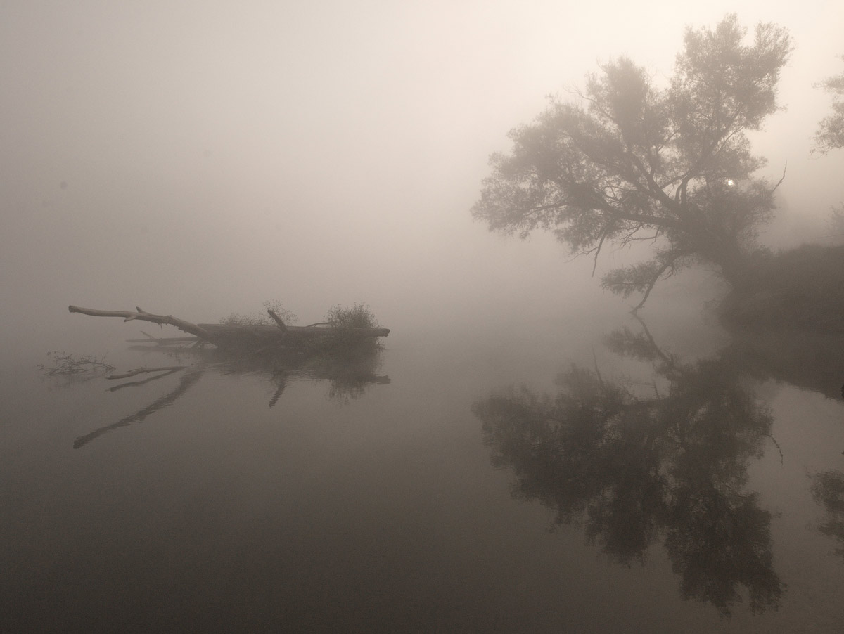 photo "***" tags: landscape, fog, summer