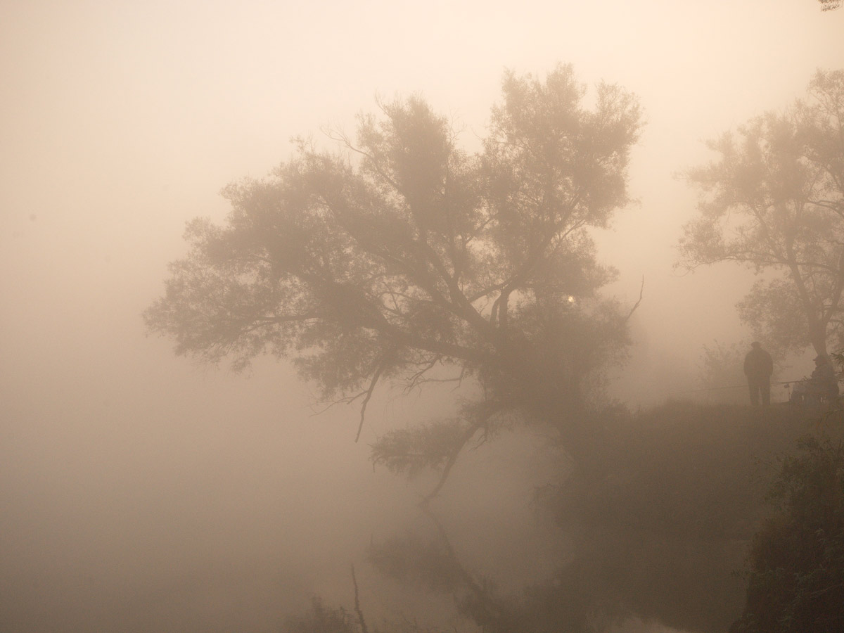 photo "***" tags: landscape, fog, summer, water