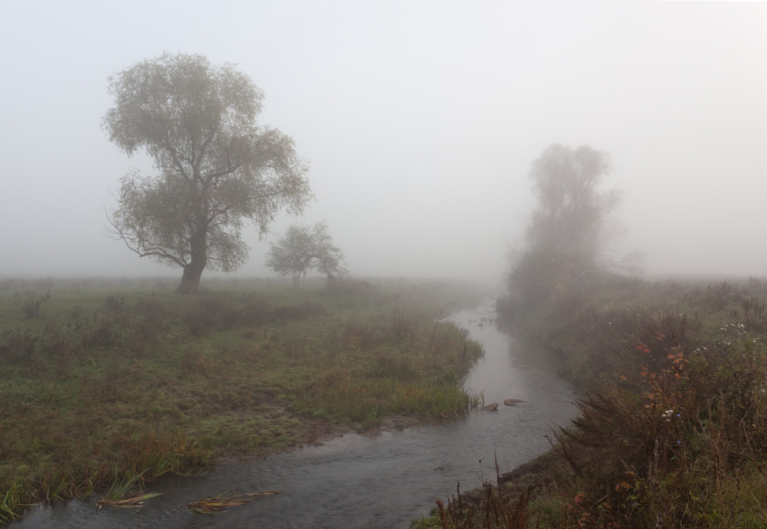 фото "Таинственная речка" метки: пейзаж, Речка, деревья, трава, туман, утро