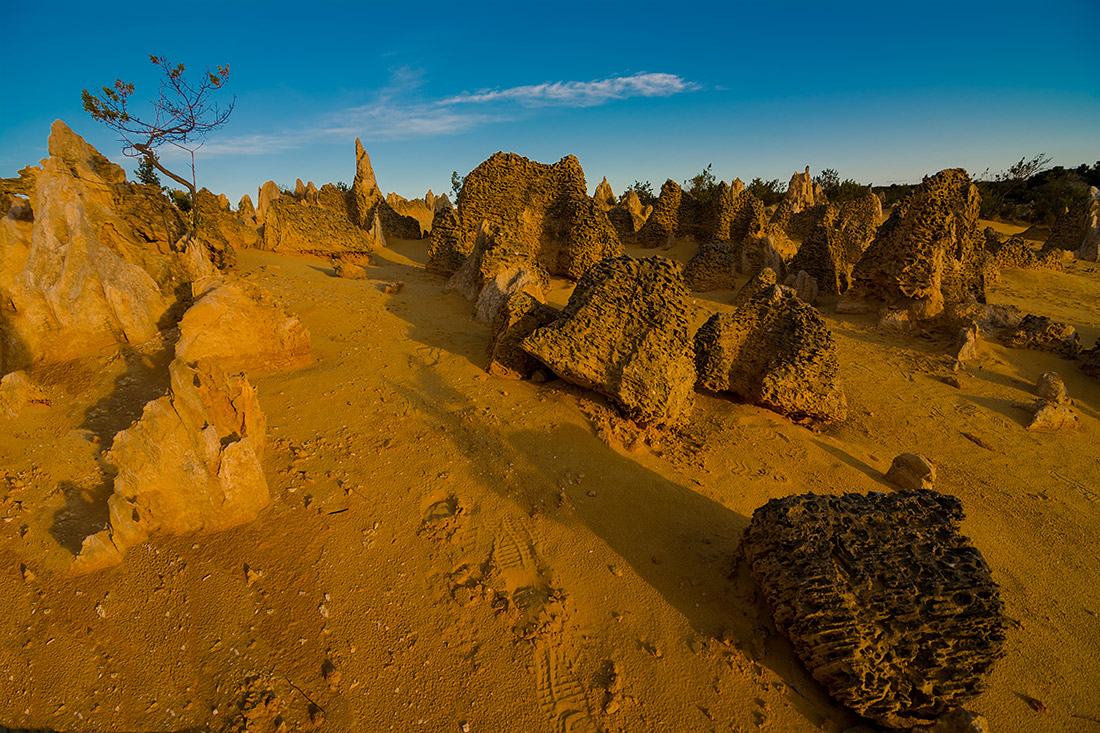 фото "Где-то во вселенной" метки: пейзаж, путешествия, Sand, desert, sunset. tree, небо, облака, скалы