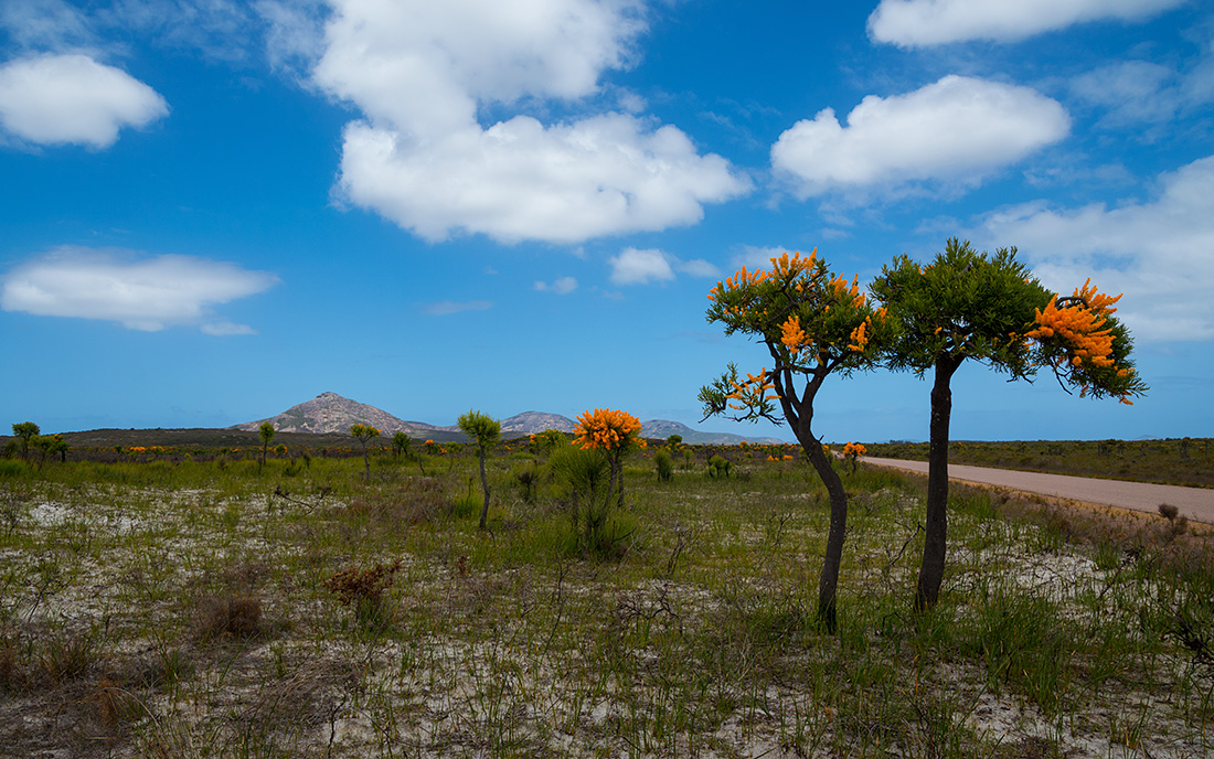 photo "***" tags: landscape, travel, clouds, grass, mountains, road, sky, steppe, trees