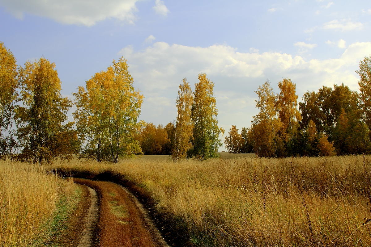 фото "***" метки: пейзаж, 