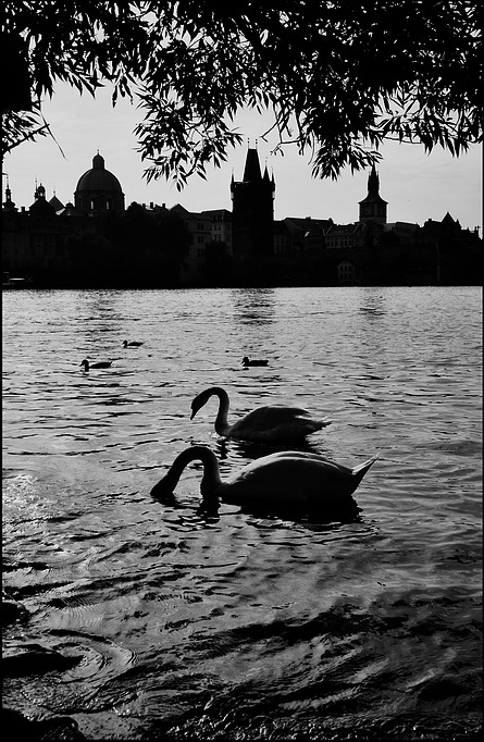 photo "Cилуэты и река" tags: black&white, Prag, Prague, Praha