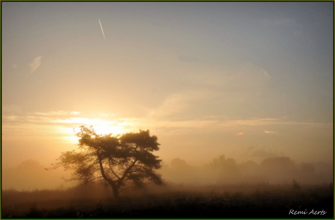 photo "***" tags: landscape, nature, 