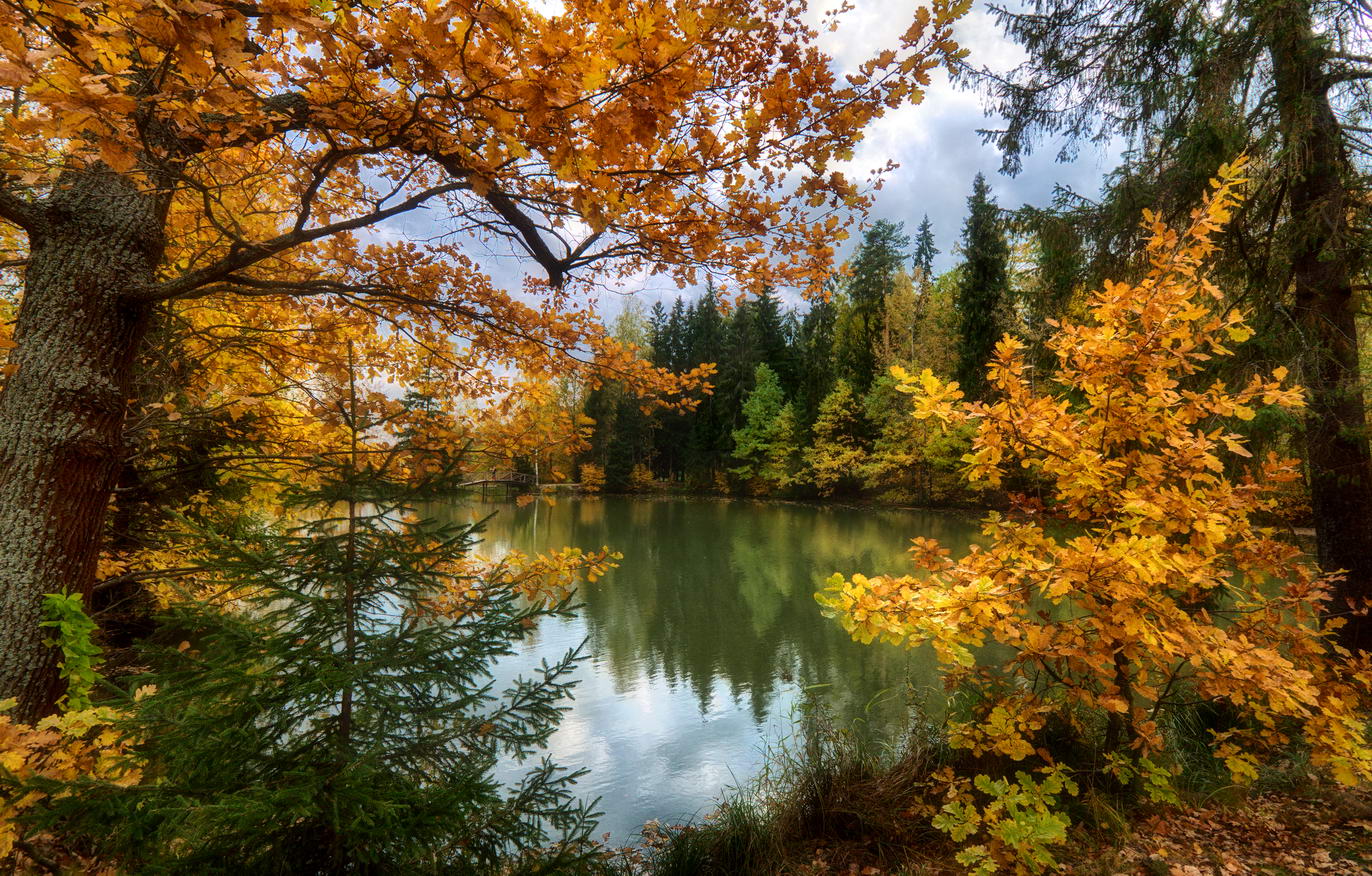 Красивые осенние картинки. Осень. Осенний пейзаж. Красивая осень. Природа осень.