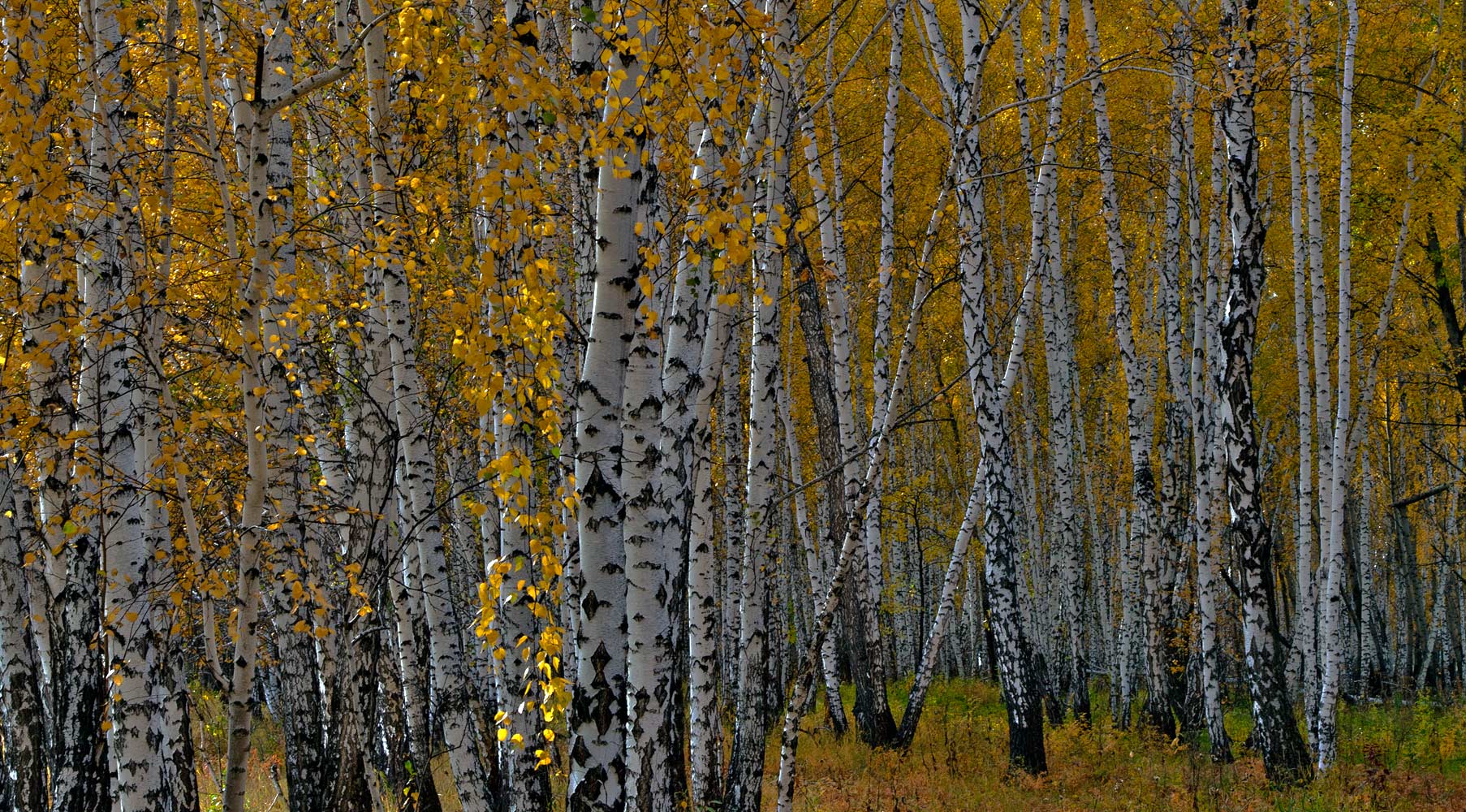 фото "***" метки: пейзаж, 