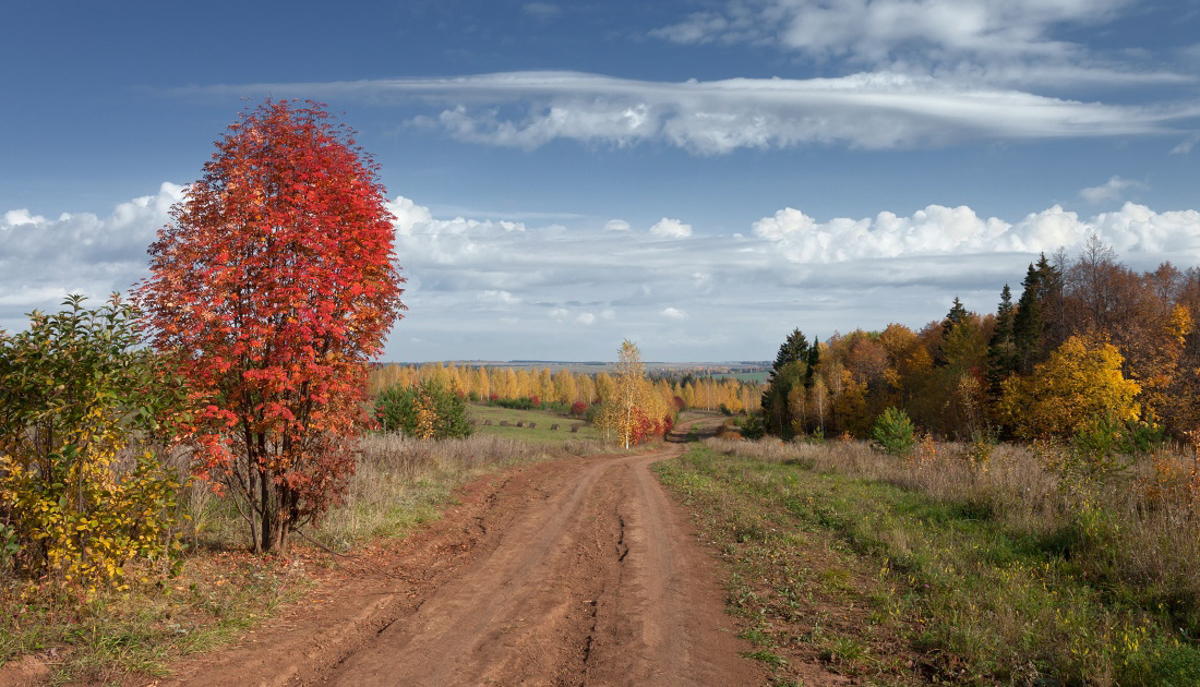 photo "***" tags: landscape, autumn, clouds, forest, road, деревья, краски