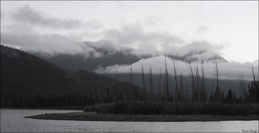 photo "cloudy" tags: landscape, nature, North America, clouds, forest, mountains, water