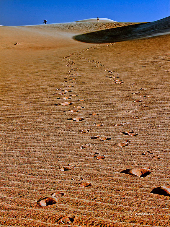 photo "FOOT PRINTS" tags: landscape, Landscape