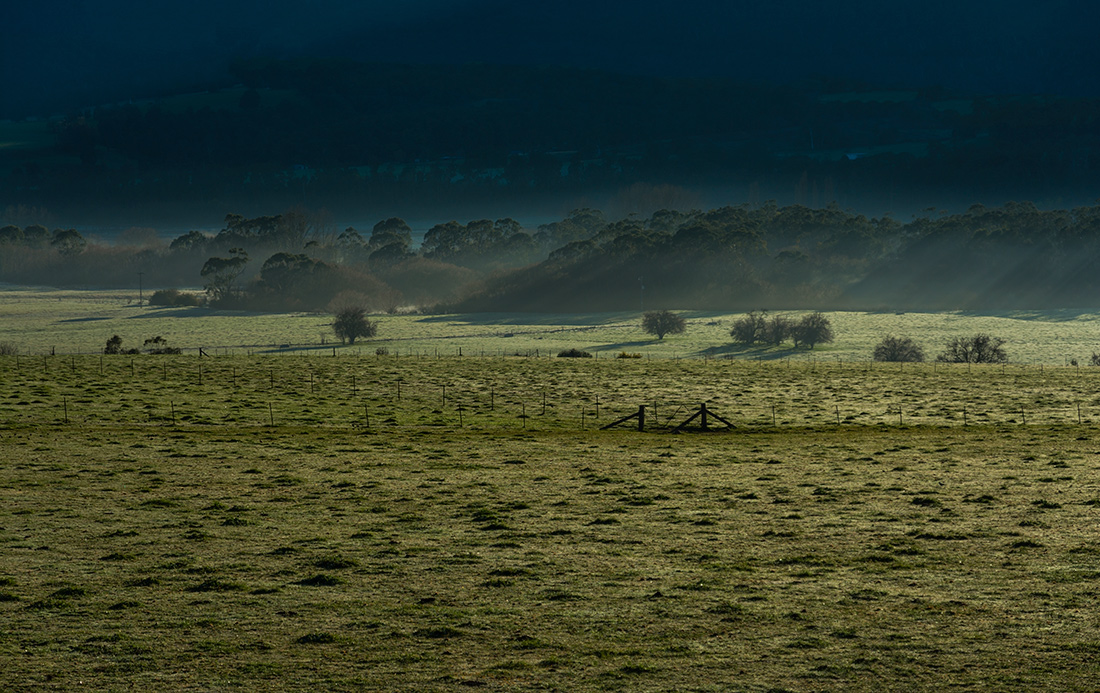 фото "Первый иней" метки: пейзаж, природа, путешествия, field, grass, sun rays, trees, горы, рассвет