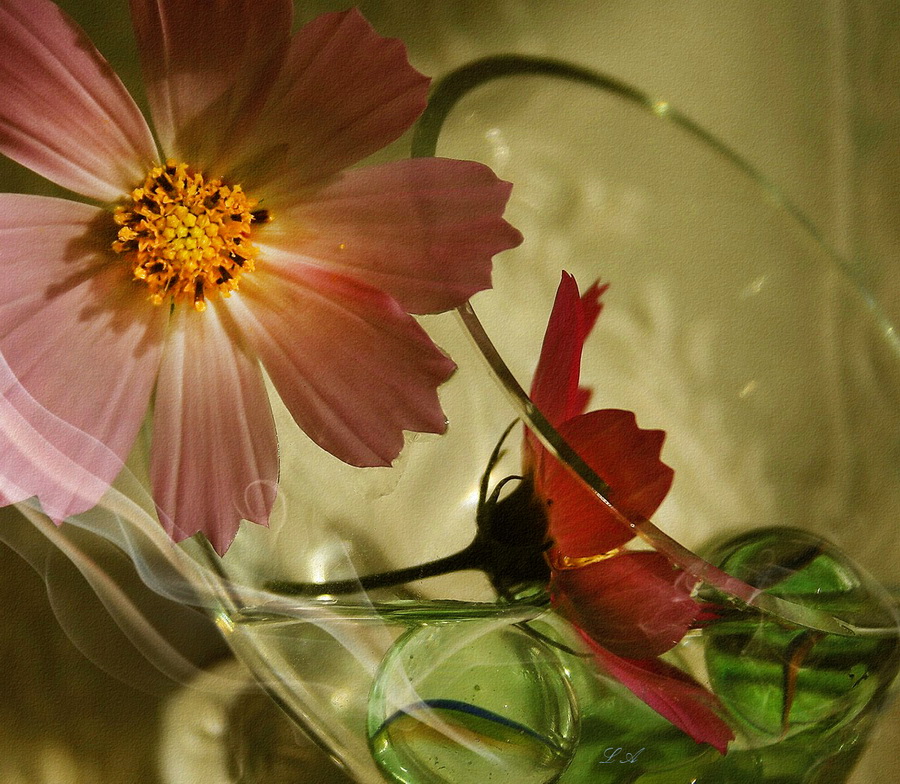 photo "***" tags: digital art, macro and close-up, flowers, стилизация