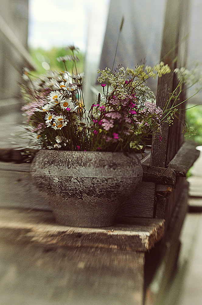 photo "***" tags: still life, 