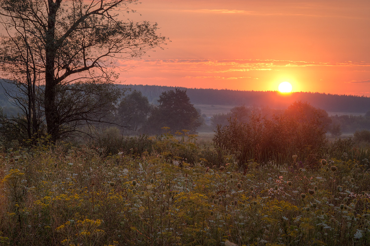 photo "***" tags: , morning, sun, sunrise