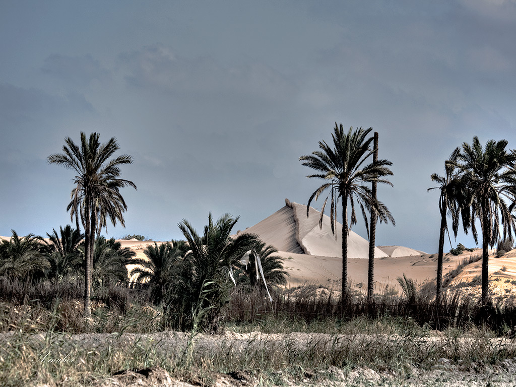 фото "OASIS" метки: пейзаж, Landscape
