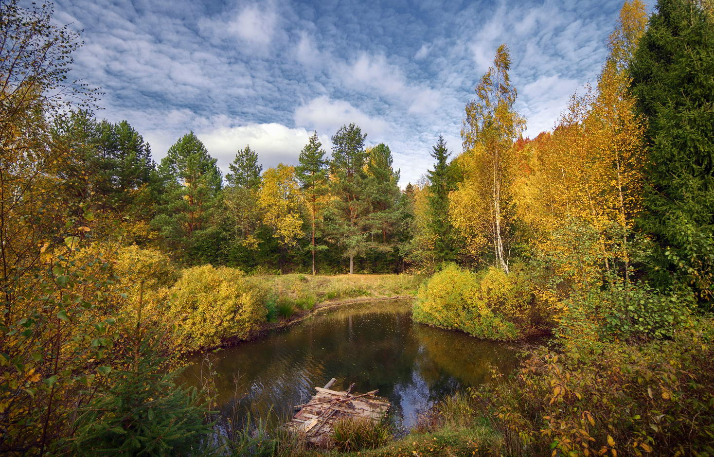 photo "***" tags: nature, landscape, autumn