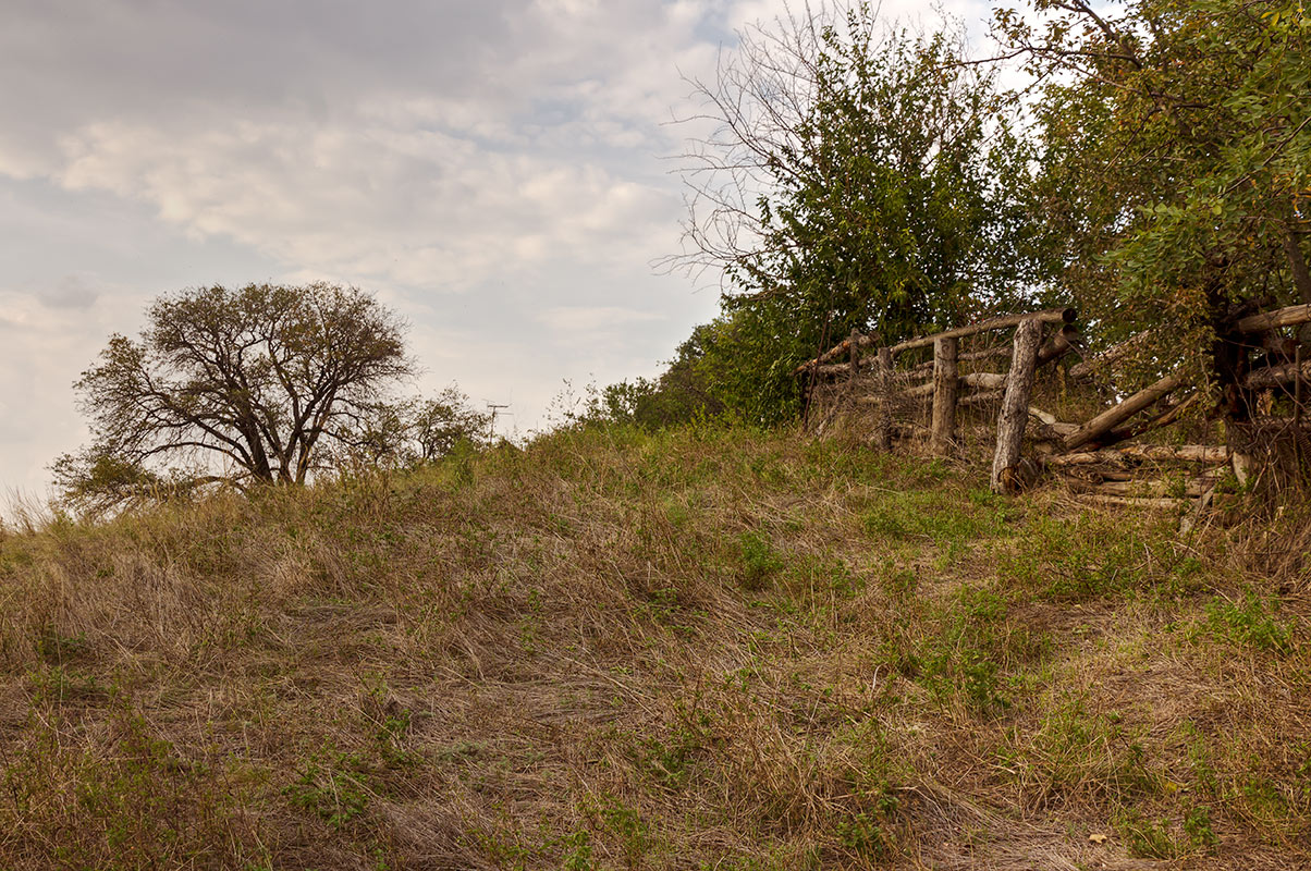 photo "***" tags: landscape, Ukraine, clouds, sky, tree, забор