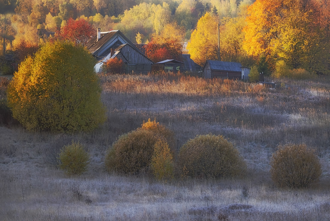 photo "***" tags: landscape, autumn, morning, Подмосковье, золотая осень