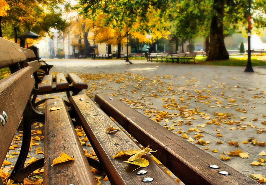 фото "Осенний сон" метки: стрит-фото, город, листья, осень
