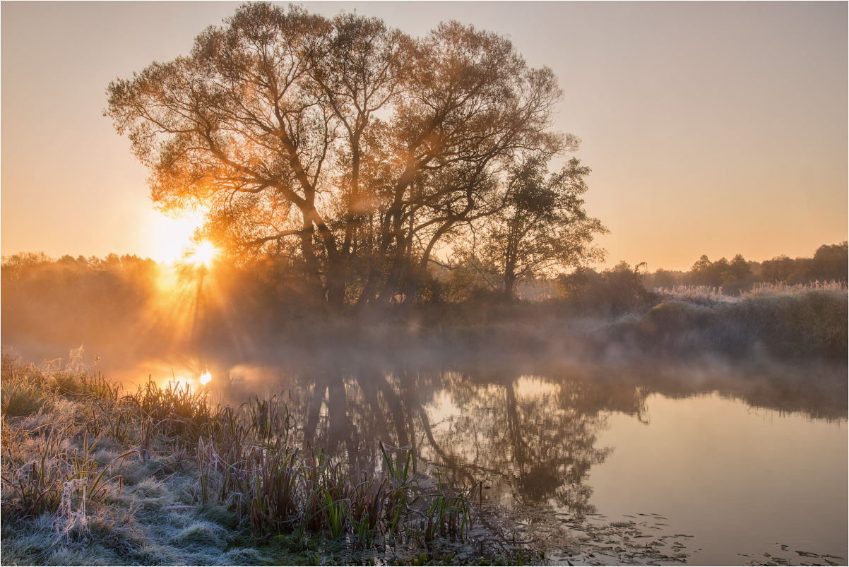 photo "***" tags: landscape, nature, travel, autumn, fog, morning, sky, tree, water, Беларусь, отражение