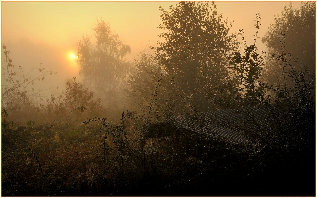 фото "***" метки: пейзаж, природа, 