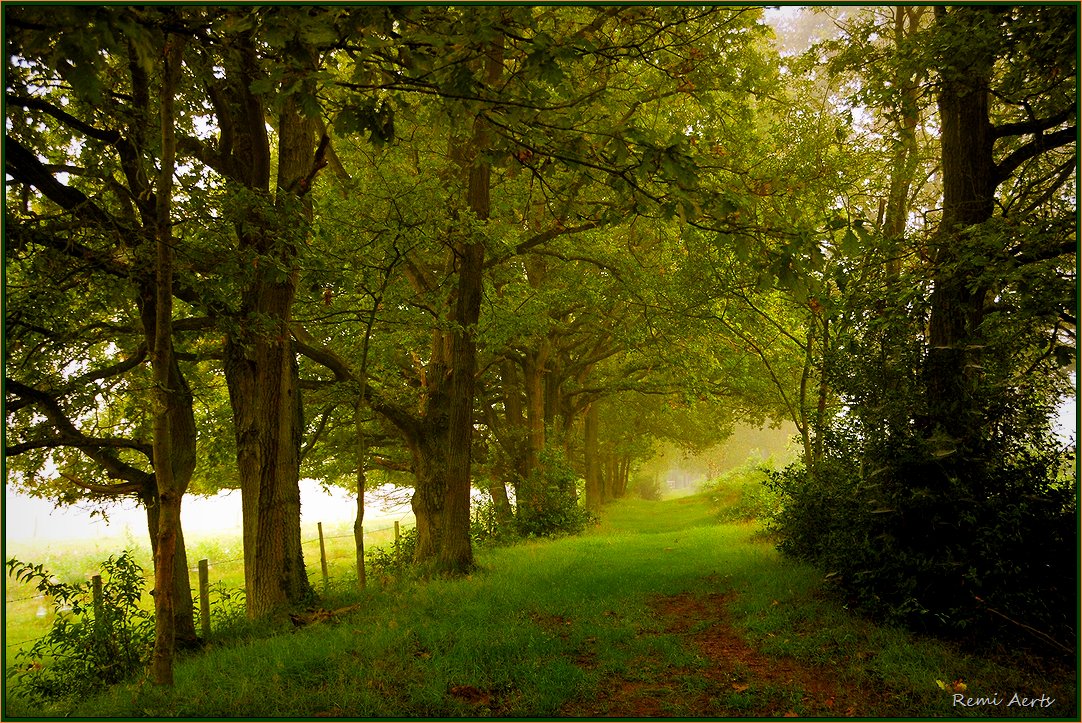 фото "***" метки: пейзаж, природа, 
