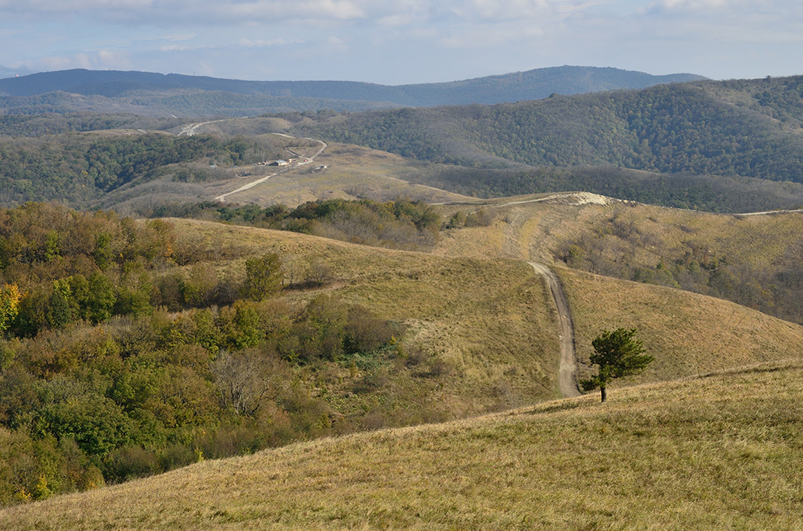 photo "***" tags: landscape, 