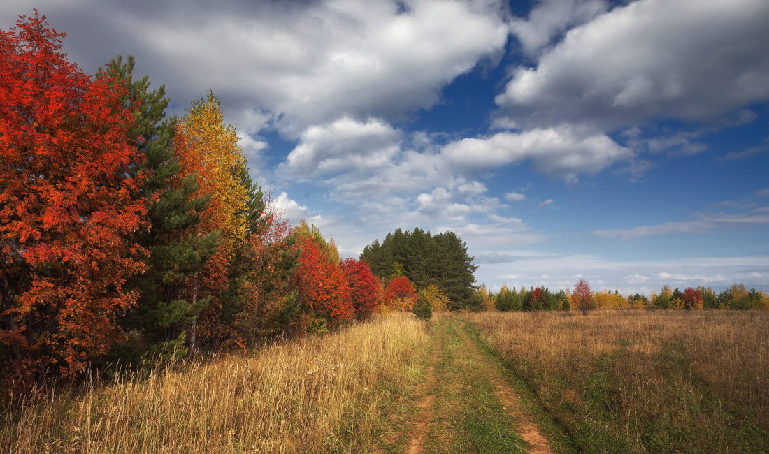 photo "***" tags: landscape, autumn, clouds, field, forest, grass, road, краски