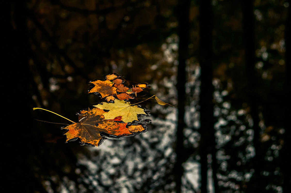 photo "***" tags: landscape, nature, autumn, reflections, water