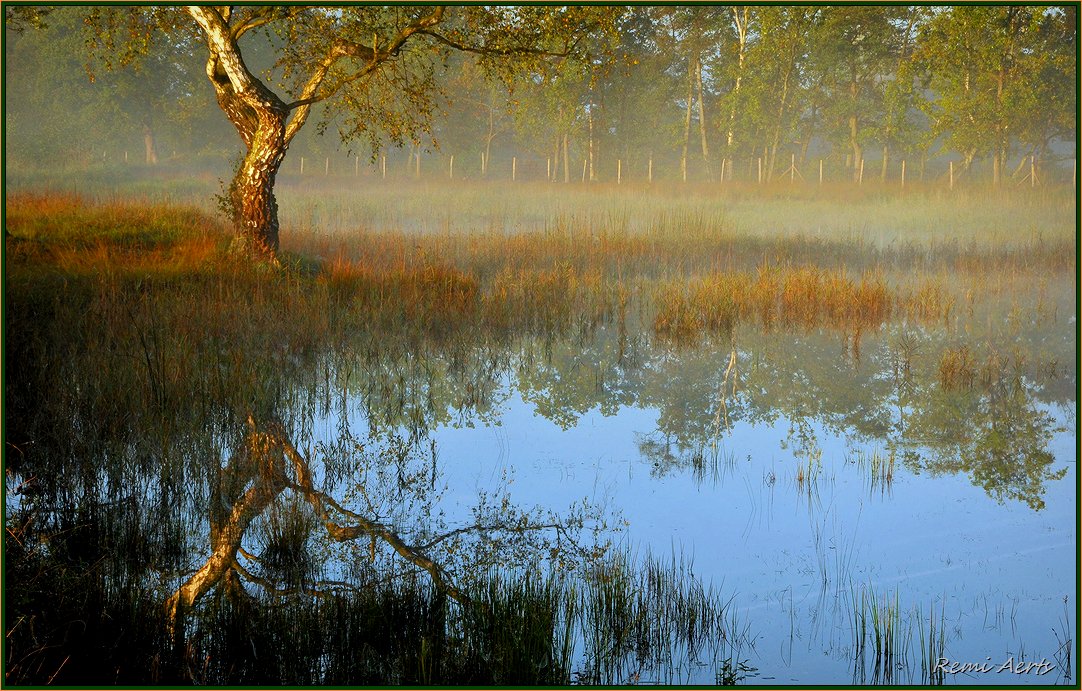 photo "***" tags: landscape, nature, 