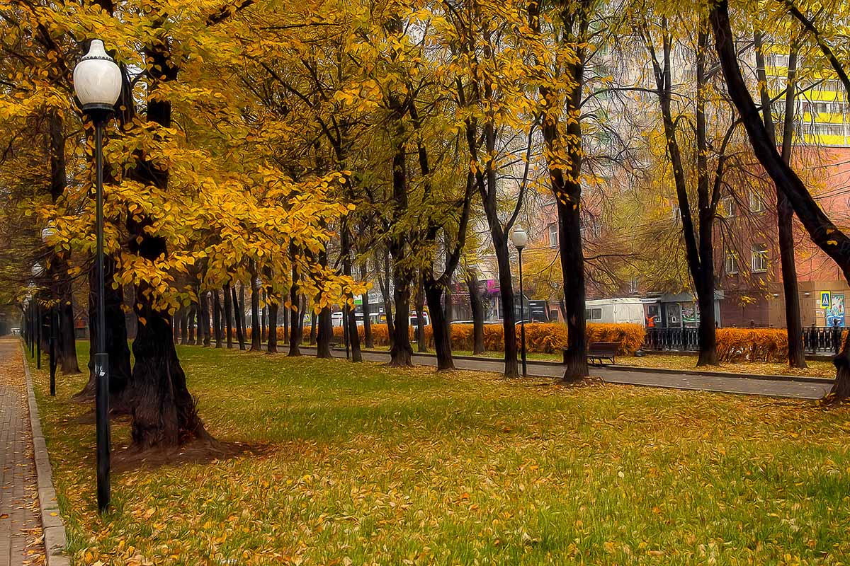 фото "Осень" метки: пейзаж, 