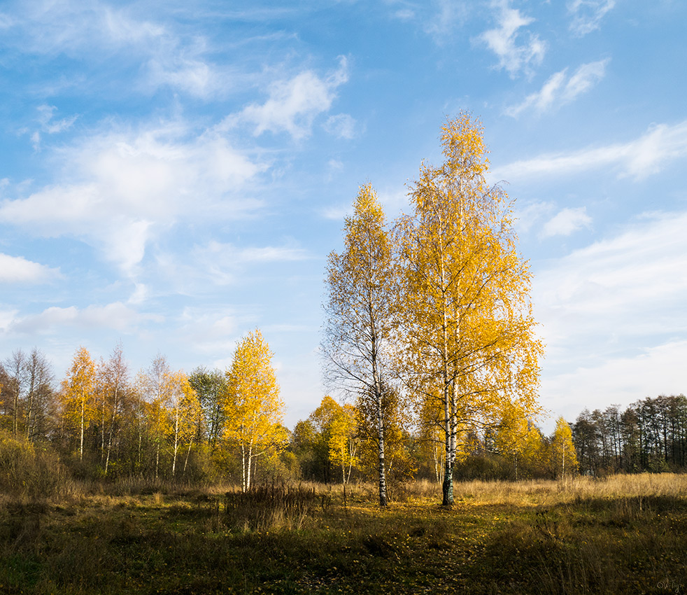 photo "***" tags: landscape, autumn, clouds, forest