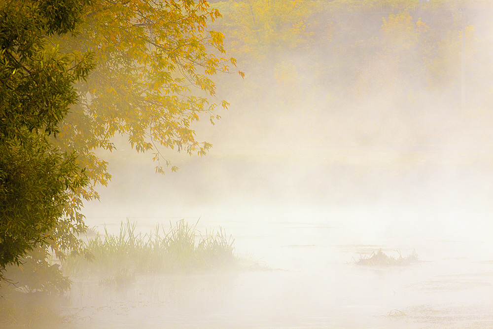 photo "Misty Morning at Pahra River" tags: landscape, nature, 