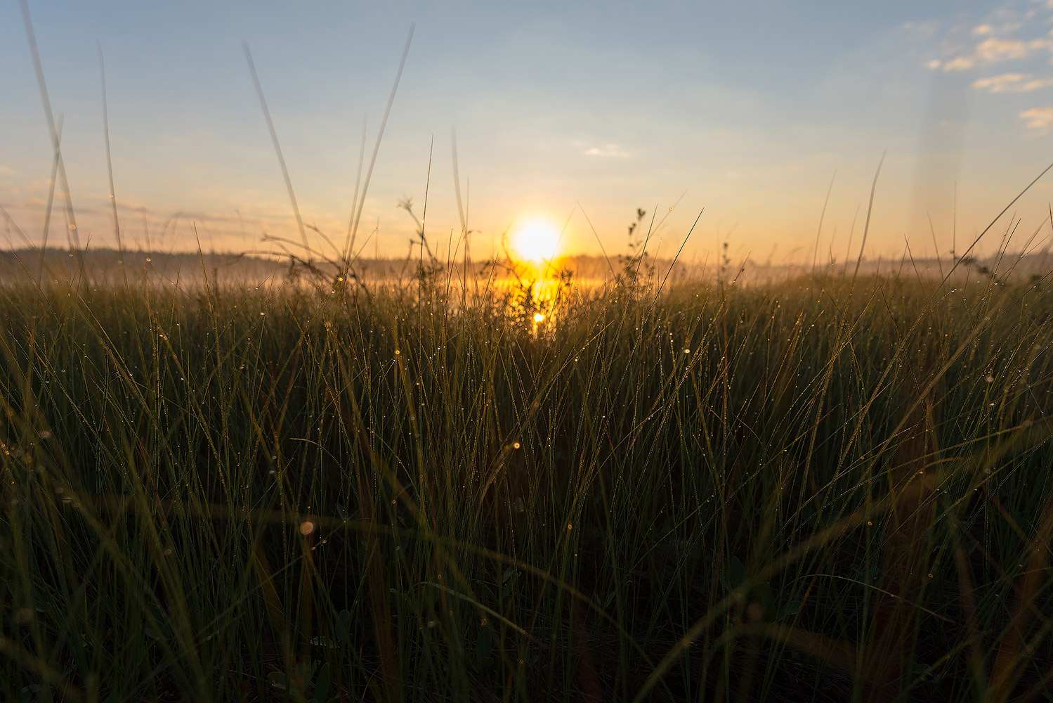 photo "***" tags: landscape, nature, travel, Karelia, forest, lake, summer, water