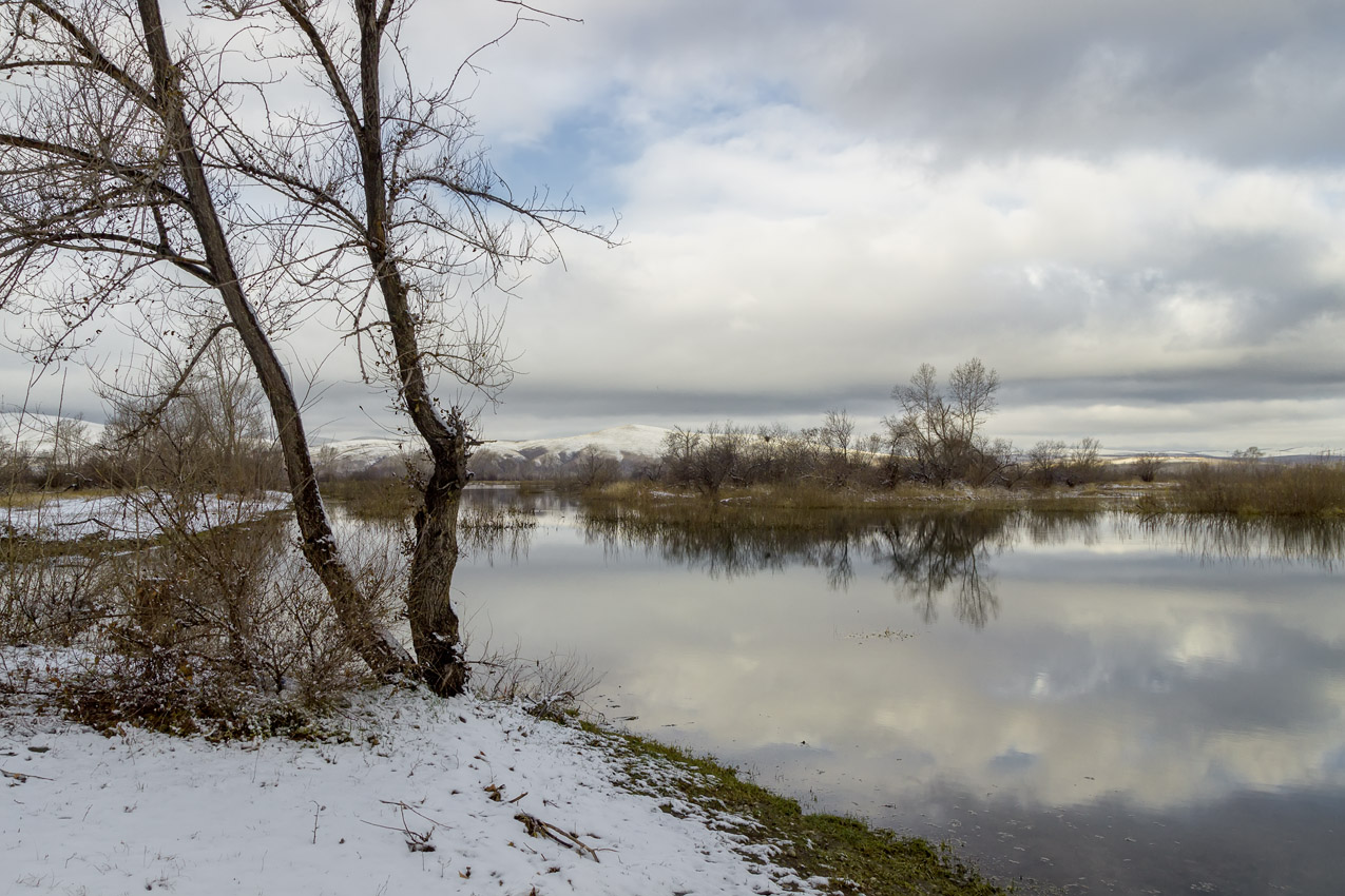 photo "***" tags: landscape, nature, 